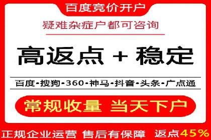 某电商平台的SEM推广实践与效果展示